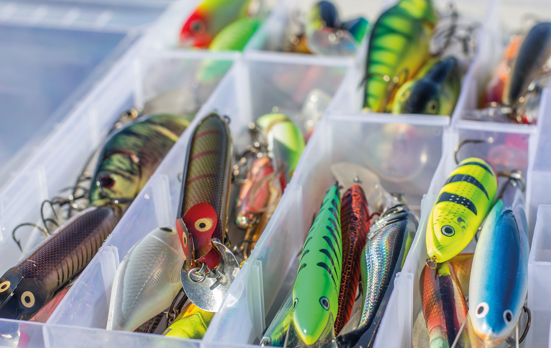 Third Party Distribution Centre Inventory Count